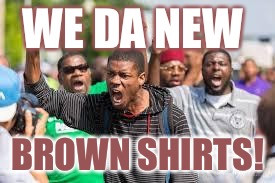 Germany reincarnated | WE DA NEW; BROWN SHIRTS! | image tagged in ferguson riots,brown shirts | made w/ Imgflip meme maker