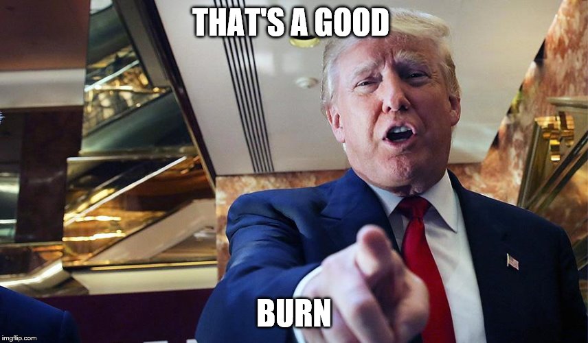 Trump I Want You | THAT'S A GOOD BURN | image tagged in trump burn | made w/ Imgflip meme maker