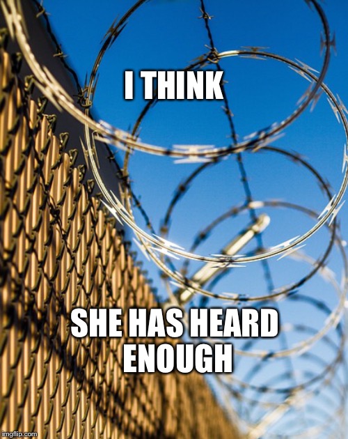 PRETTY FENCE CONCERTINA | I THINK SHE HAS HEARD ENOUGH | image tagged in pretty fence concertina | made w/ Imgflip meme maker