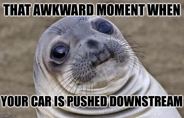 Awkward Moment Sealion Meme | THAT AWKWARD MOMENT WHEN YOUR CAR IS PUSHED DOWNSTREAM | image tagged in memes,awkward moment sealion | made w/ Imgflip meme maker