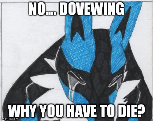 NO.... DOVEWING; WHY YOU HAVE TO DIE? | image tagged in lucario sad over dovewing's death | made w/ Imgflip meme maker