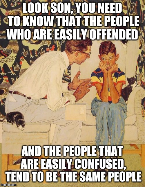 The Problem Is Meme | LOOK SON, YOU NEED TO KNOW THAT THE PEOPLE WHO ARE EASILY OFFENDED; AND THE PEOPLE THAT ARE EASILY CONFUSED, TEND TO BE THE SAME PEOPLE | image tagged in memes,the probelm is | made w/ Imgflip meme maker