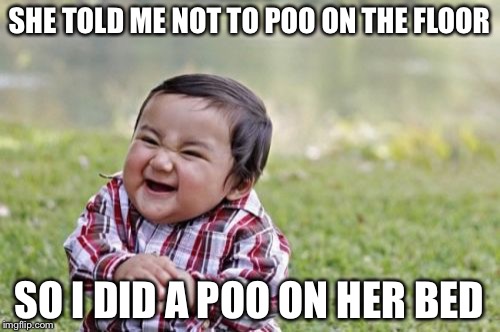 Evil Toddler | SHE TOLD ME NOT TO POO ON THE FLOOR; SO I DID A POO ON HER BED | image tagged in memes,evil toddler | made w/ Imgflip meme maker