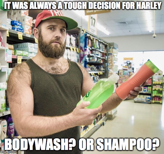 IT WAS ALWAYS A TOUGH DECISION FOR HARLEY; BODYWASH? OR SHAMPOO? | image tagged in hairy harley | made w/ Imgflip meme maker