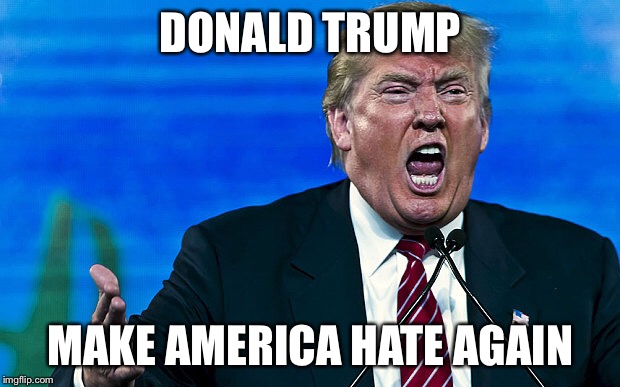 I Love the Poorly Educated | DONALD TRUMP; MAKE AMERICA HATE AGAIN | image tagged in trump,make donald drumpf again,donald trump approves | made w/ Imgflip meme maker