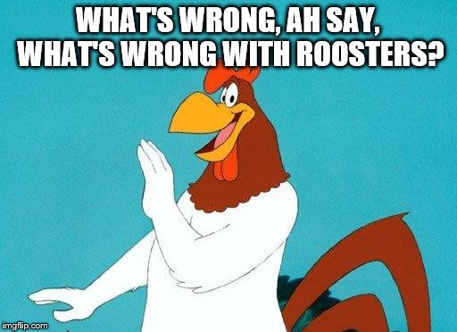 WHAT'S WRONG, AH SAY, WHAT'S WRONG WITH ROOSTERS? | made w/ Imgflip meme maker