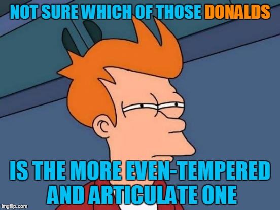 Futurama Fry Meme | NOT SURE WHICH OF THOSE DONALDS IS THE MORE EVEN-TEMPERED AND ARTICULATE ONE DONALDS | image tagged in memes,futurama fry | made w/ Imgflip meme maker