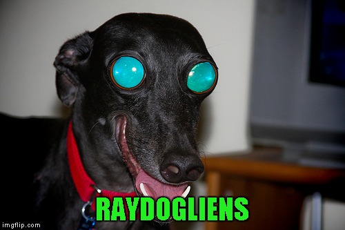 RAYDOGLIENS | made w/ Imgflip meme maker