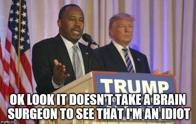 OK LOOK IT DOESN'T TAKE A BRAIN SURGEON TO SEE THAT I'M AN IDIOT | image tagged in ben carson,donald trump,presidential race,sucker,bamboozled | made w/ Imgflip meme maker