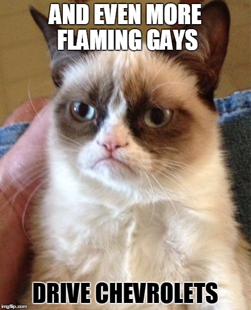Grumpy Cat Meme | AND EVEN MORE FLAMING GAYS DRIVE CHEVROLETS | image tagged in memes,grumpy cat | made w/ Imgflip meme maker