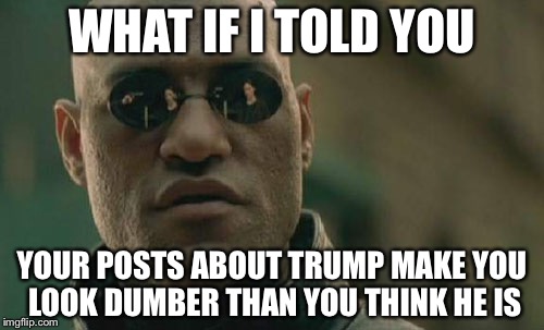 Matrix Morpheus Meme | WHAT IF I TOLD YOU; YOUR POSTS ABOUT TRUMP MAKE YOU LOOK DUMBER THAN YOU THINK HE IS | image tagged in memes,matrix morpheus | made w/ Imgflip meme maker