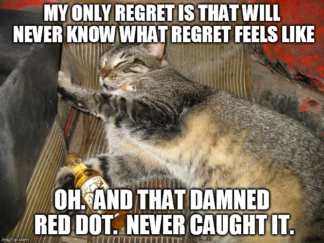 MY ONLY REGRET IS THAT WILL NEVER KNOW WHAT REGRET FEELS LIKE OH.  AND THAT DAMNED RED DOT.  NEVER CAUGHT IT. | made w/ Imgflip meme maker
