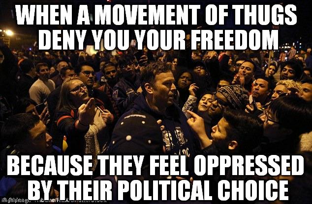WHEN A MOVEMENT OF THUGS DENY YOU YOUR FREEDOM; BECAUSE THEY FEEL OPPRESSED BY THEIR POLITICAL CHOICE | image tagged in black lives matter,terrorists,opressors | made w/ Imgflip meme maker