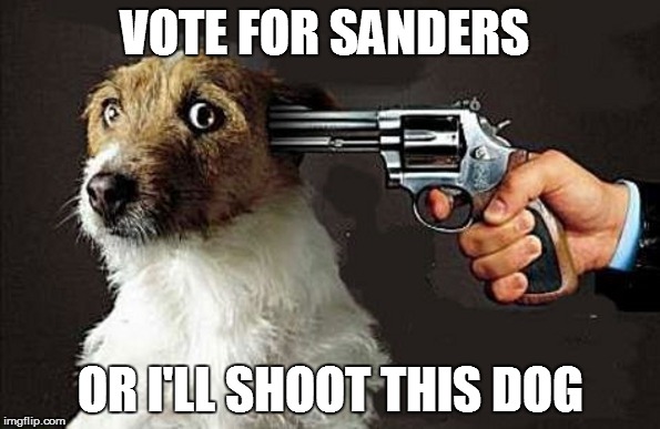 Bernie dog power | VOTE FOR SANDERS; OR I'LL SHOOT THIS DOG | image tagged in its getting serious | made w/ Imgflip meme maker