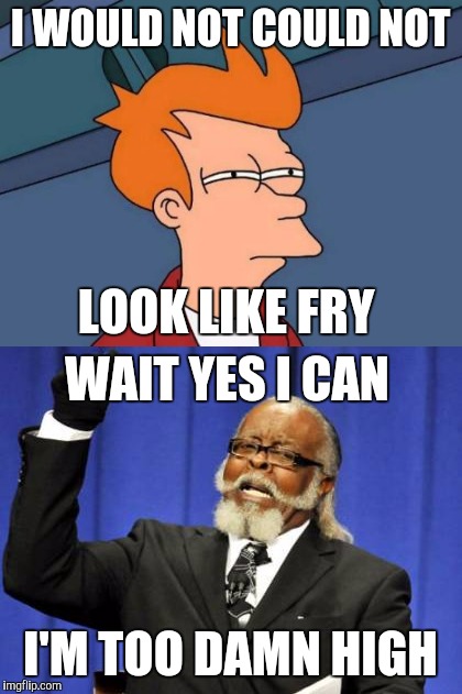 Fry Too High | I WOULD NOT COULD NOT I'M TOO DAMN HIGH LOOK LIKE FRY WAIT YES I CAN | image tagged in futurama fry,too damn high,memes,rhymes | made w/ Imgflip meme maker