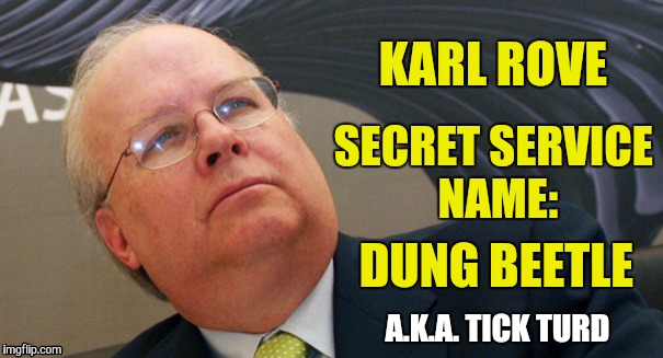 Tick Turd | KARL ROVE; SECRET SERVICE NAME:; DUNG BEETLE; A.K.A. TICK TURD | image tagged in karl rove,asshole,douchebag,bullshitter,liar,rino | made w/ Imgflip meme maker