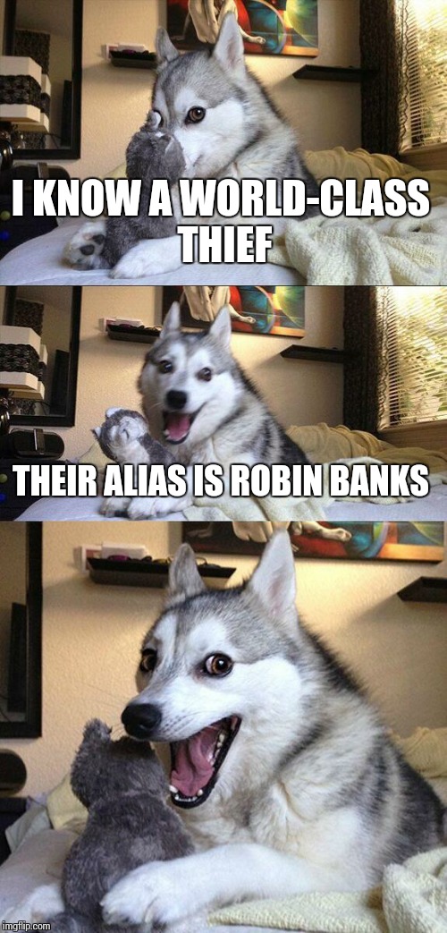 Bad Pun Dog Meme | I KNOW A WORLD-CLASS THIEF; THEIR ALIAS IS ROBIN BANKS | image tagged in memes,bad pun dog | made w/ Imgflip meme maker
