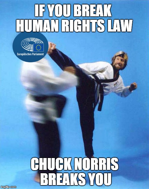 Roundhouse Kick Chuck Norris | IF YOU BREAK HUMAN RIGHTS LAW; CHUCK NORRIS BREAKS YOU | image tagged in roundhouse kick chuck norris,turkeydeal,european parliament | made w/ Imgflip meme maker