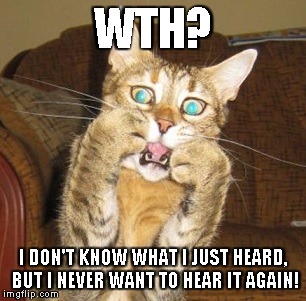 WTH Did I Just Hear? | WTH? I DON'T KNOW WHAT I JUST HEARD, BUT I NEVER WANT TO HEAR IT AGAIN! | image tagged in wth did i just hear | made w/ Imgflip meme maker