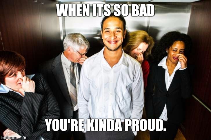 Elevator fart | WHEN ITS SO BAD; YOU'RE KINDA PROUD. | image tagged in elevator fart | made w/ Imgflip meme maker