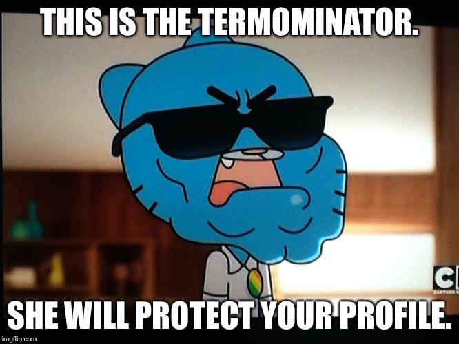 Termominator | THIS IS THE TERMOMINATOR. SHE WILL PROTECT YOUR PROFILE. | image tagged in termominator | made w/ Imgflip meme maker