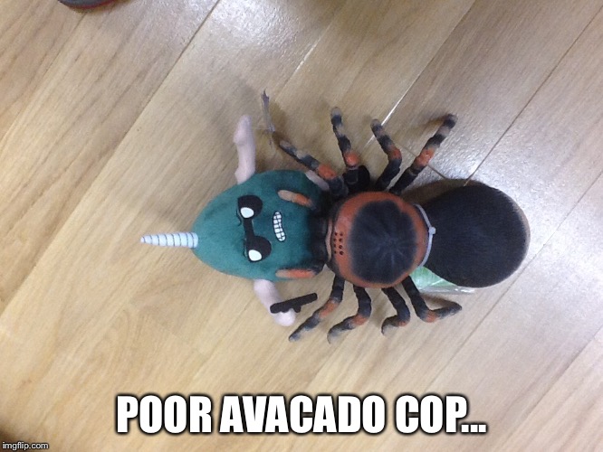 POOR AVACADO COP... | image tagged in poor avacado cop | made w/ Imgflip meme maker