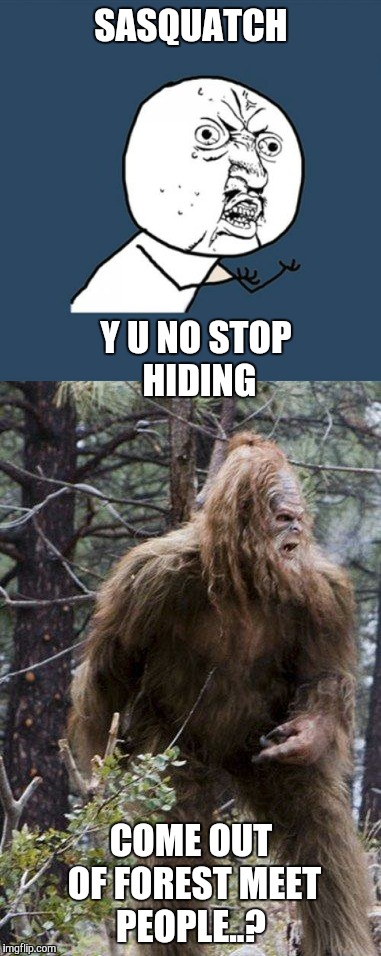 I understand the mistrust..... | SASQUATCH; Y U NO STOP HIDING; COME OUT OF FOREST MEET PEOPLE..? | image tagged in y u no,bigfoot,forest,hiding,trump,sasquatch | made w/ Imgflip meme maker