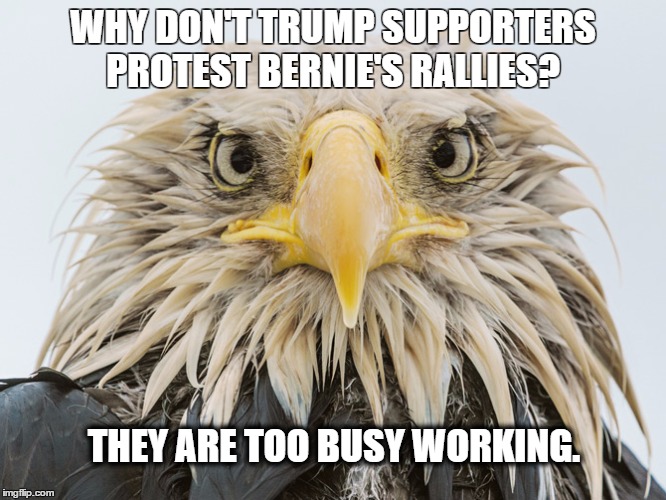 america | WHY DON'T TRUMP SUPPORTERS PROTEST BERNIE'S RALLIES? THEY ARE TOO BUSY WORKING. | image tagged in donald trump,politics,voting | made w/ Imgflip meme maker