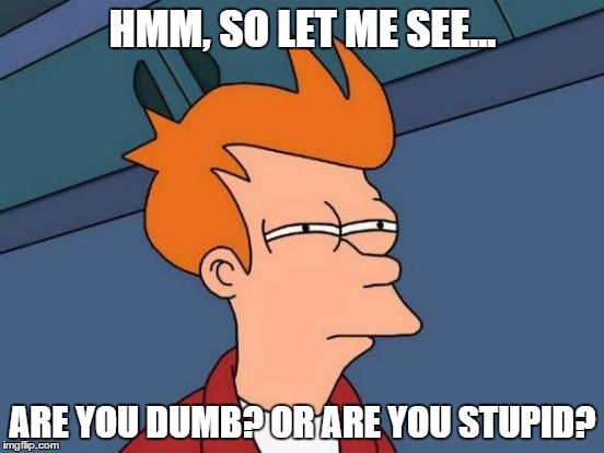 Futurama Fry | HMM, SO LET ME SEE... ARE YOU DUMB? OR ARE YOU STUPID? | image tagged in memes,futurama fry,cartoon,funny meme,funny stuff,stupidity | made w/ Imgflip meme maker