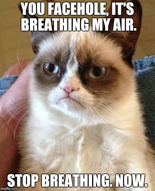 Grumpy Cat | YOU FACEHOLE, IT'S BREATHING MY AIR. STOP BREATHING. NOW. | image tagged in memes,grumpy cat | made w/ Imgflip meme maker