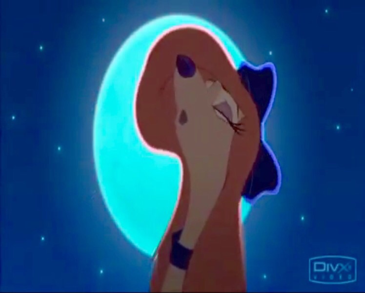 Dixie Howling Blank Meme Template