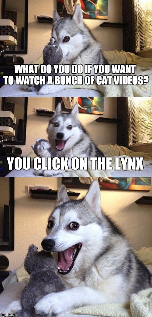 Bad Pun Dog Meme | WHAT DO YOU DO IF YOU WANT TO WATCH A BUNCH OF CAT VIDEOS? YOU CLICK ON THE LYNX | image tagged in memes,bad pun dog | made w/ Imgflip meme maker