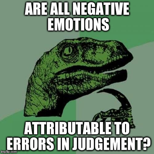 Philosophy isn't *always* a joke! | ARE ALL NEGATIVE EMOTIONS; ATTRIBUTABLE TO ERRORS IN JUDGEMENT? | image tagged in memes,philosoraptor | made w/ Imgflip meme maker