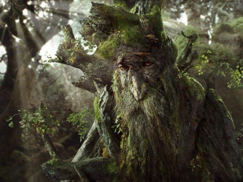 Treebeard Meme Blank Meme Template