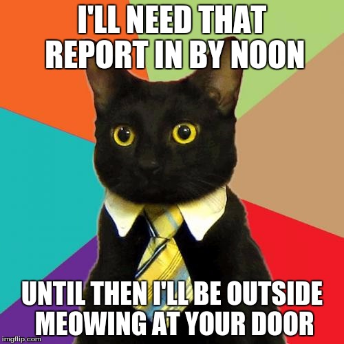Business Cat | I'LL NEED THAT REPORT IN BY NOON; UNTIL THEN I'LL BE OUTSIDE MEOWING AT YOUR DOOR | image tagged in memes,business cat | made w/ Imgflip meme maker