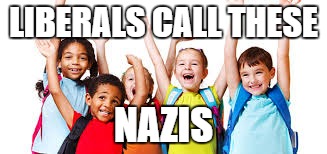 LIBERALS CALL THESE; NAZIS | image tagged in words that offend liberals | made w/ Imgflip meme maker