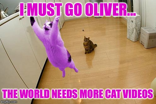 RayCat save the world | I MUST GO OLIVER... THE WORLD NEEDS MORE CAT VIDEOS | image tagged in raycat save the world | made w/ Imgflip meme maker