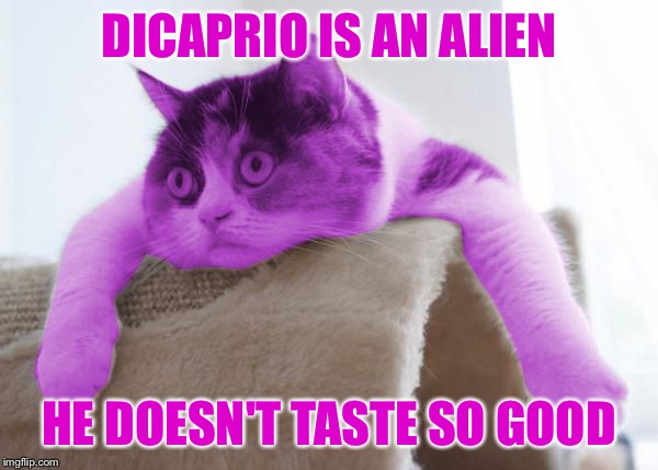 RayCat Stare | DICAPRIO IS AN ALIEN HE DOESN'T TASTE SO GOOD | image tagged in raycat stare | made w/ Imgflip meme maker