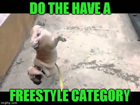 DO THE HAVE A FREESTYLE CATEGORY | made w/ Imgflip meme maker