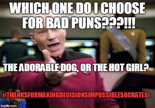 Dammit, Socrates. | WHICH ONE DO I CHOOSE FOR BAD PUNS???!!! THE ADORABLE DOG, OR THE HOT GIRL? #THANKSFORMAKINGDECISIONSIMPOSSIBLESOCRATES! | image tagged in memes,picard wtf,dammit,bad pun dog,bad pun anna kendrick,socrates | made w/ Imgflip meme maker