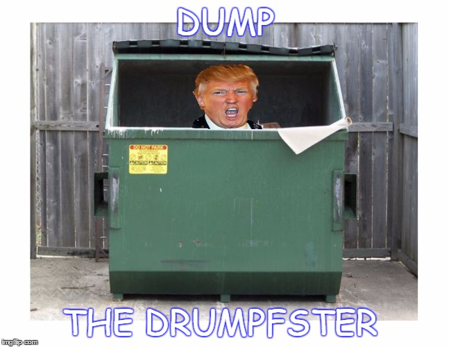 dump the drumpf | DUMP; THE DRUMPFSTER | image tagged in trump,donald trump,republican | made w/ Imgflip meme maker