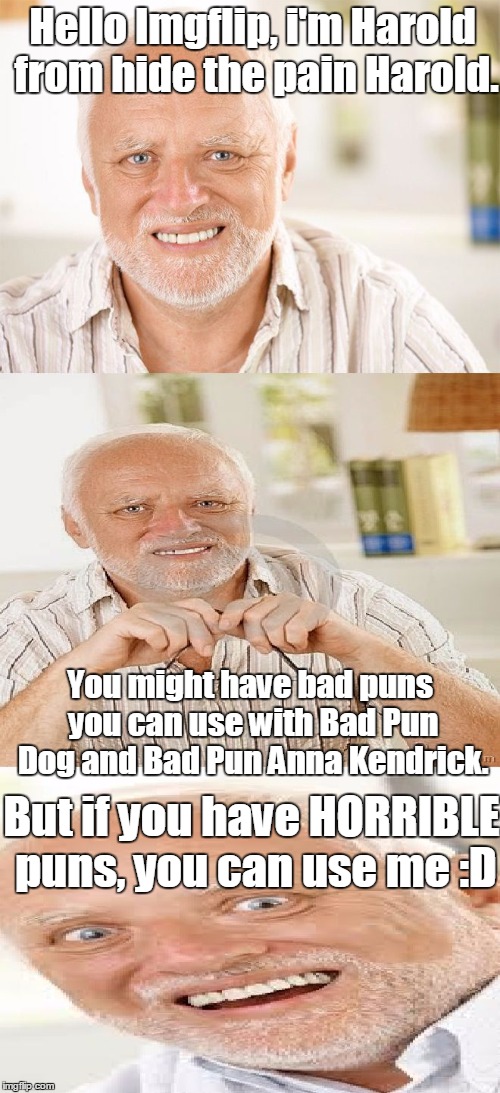 HORRIBLE Pun Harold | Hello Imgflip, i'm Harold from hide the pain Harold. You might have bad puns you can use with Bad Pun Dog and Bad Pun Anna Kendrick. But if you have HORRIBLE puns, you can use me :D | image tagged in horrible pun harold,bad pun anna kendrick,bad pun dog,memes,advertisement | made w/ Imgflip meme maker
