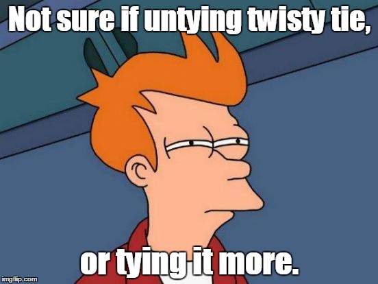 Futurama Fry Meme | Not sure if untying twisty tie, or tying it more. | image tagged in memes,futurama fry | made w/ Imgflip meme maker