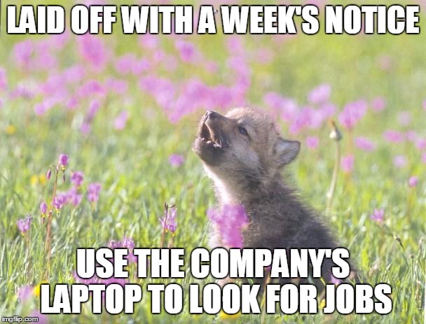 Baby Insanity Wolf | LAID OFF WITH A WEEK'S NOTICE; USE THE COMPANY'S LAPTOP TO LOOK FOR JOBS | image tagged in memes,baby insanity wolf,AdviceAnimals | made w/ Imgflip meme maker