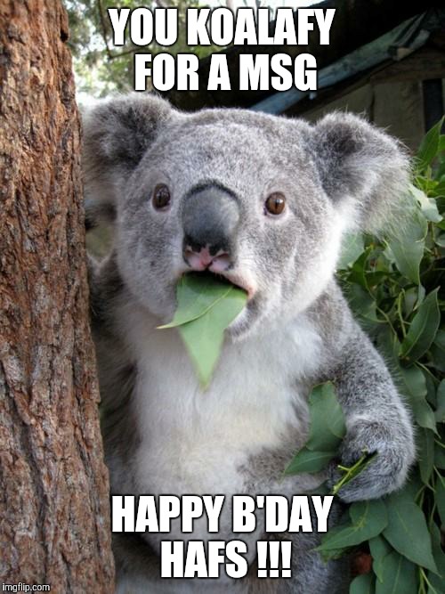 Surprised Koala | YOU KOALAFY FOR A MSG; HAPPY B'DAY HAFS !!! | image tagged in memes,surprised koala | made w/ Imgflip meme maker