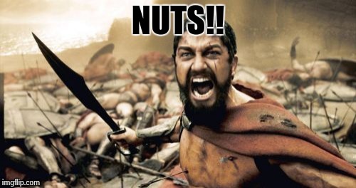 Sparta Leonidas Meme | NUTS!! | image tagged in memes,sparta leonidas | made w/ Imgflip meme maker