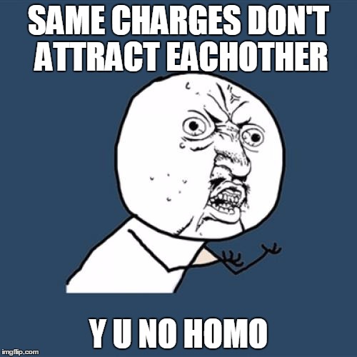 Y U No Meme | SAME CHARGES DON'T ATTRACT EACHOTHER; Y U NO HOMO | image tagged in memes,y u no | made w/ Imgflip meme maker