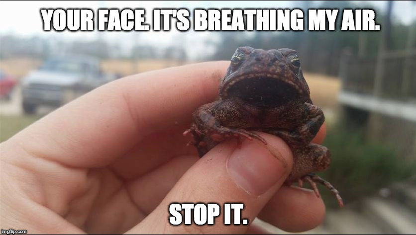 GRUMPY FROG. | YOUR FACE.
IT'S BREATHING MY AIR. STOP IT. | image tagged in grumpy-frog,grumpy cat,grumpy frog,breathing my air,stop it | made w/ Imgflip meme maker