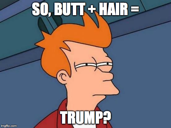 Futurama Fry Meme | SO, BUTT + HAIR =; TRUMP? | image tagged in memes,futurama fry | made w/ Imgflip meme maker