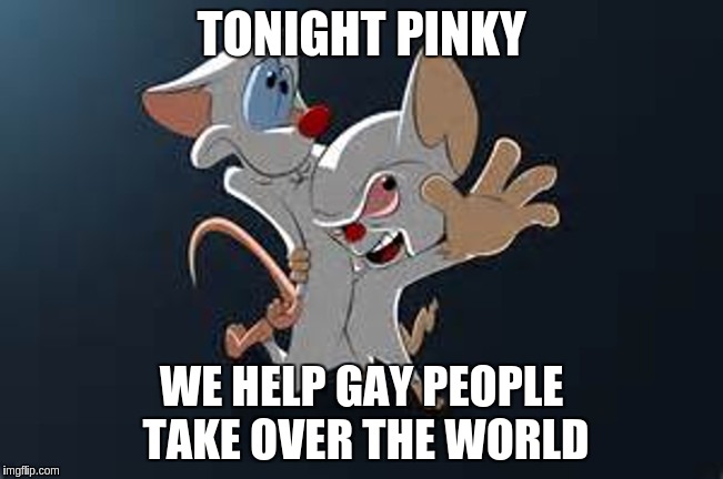 Pinky and the Brain | TONIGHT PINKY; WE HELP GAY PEOPLE TAKE OVER THE WORLD | image tagged in pinky and the brain | made w/ Imgflip meme maker